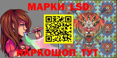 шишки Гай