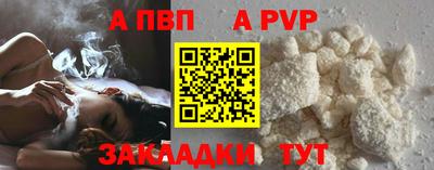 шишки Гай