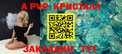 шишки Гай
